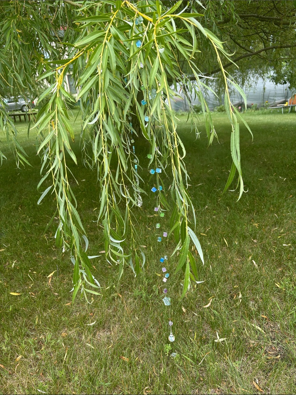 Home made sun catchers